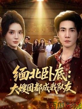 缅北卧底：大嫂团都成我队友