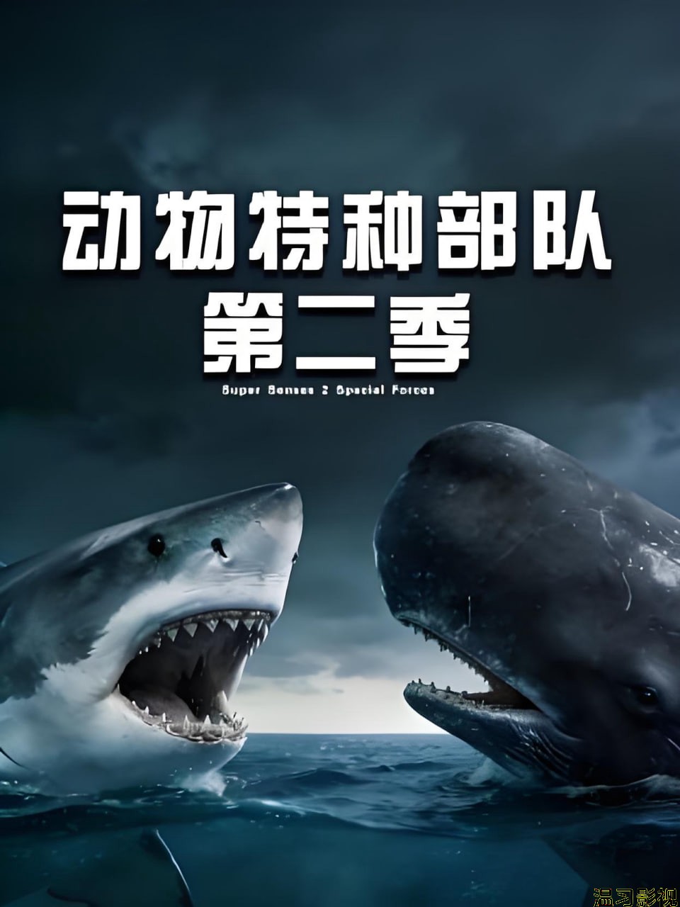 动物特种部队 第二季